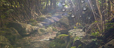 Our Journey Through Grief