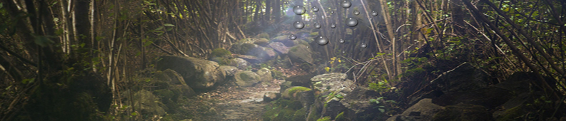 Our Journey Through Grief