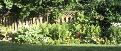 PARENTS ARE DEVOTED GARDENERS